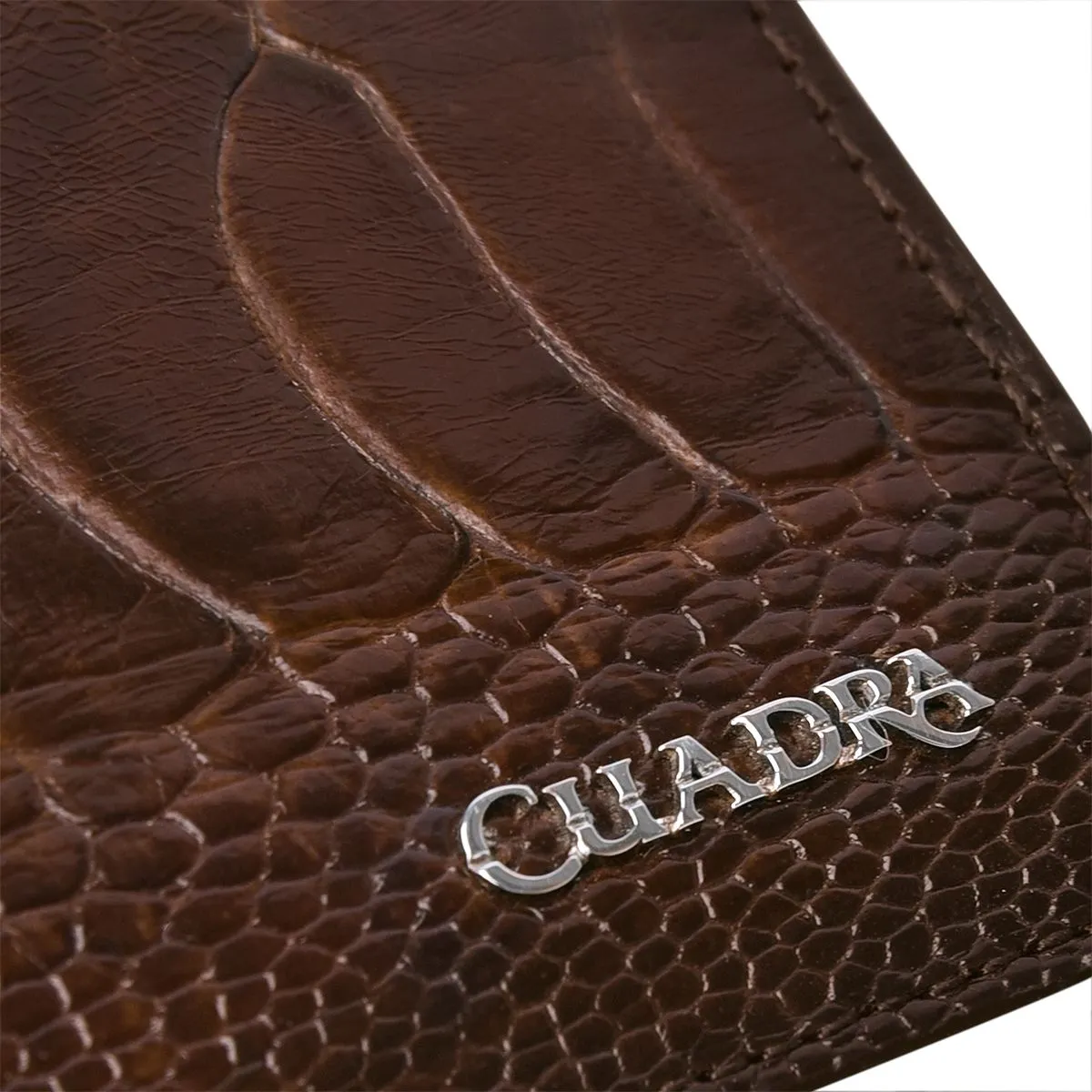 B2910PA - Cuadra chocolate classic ostrich leg bi fold wallet for men