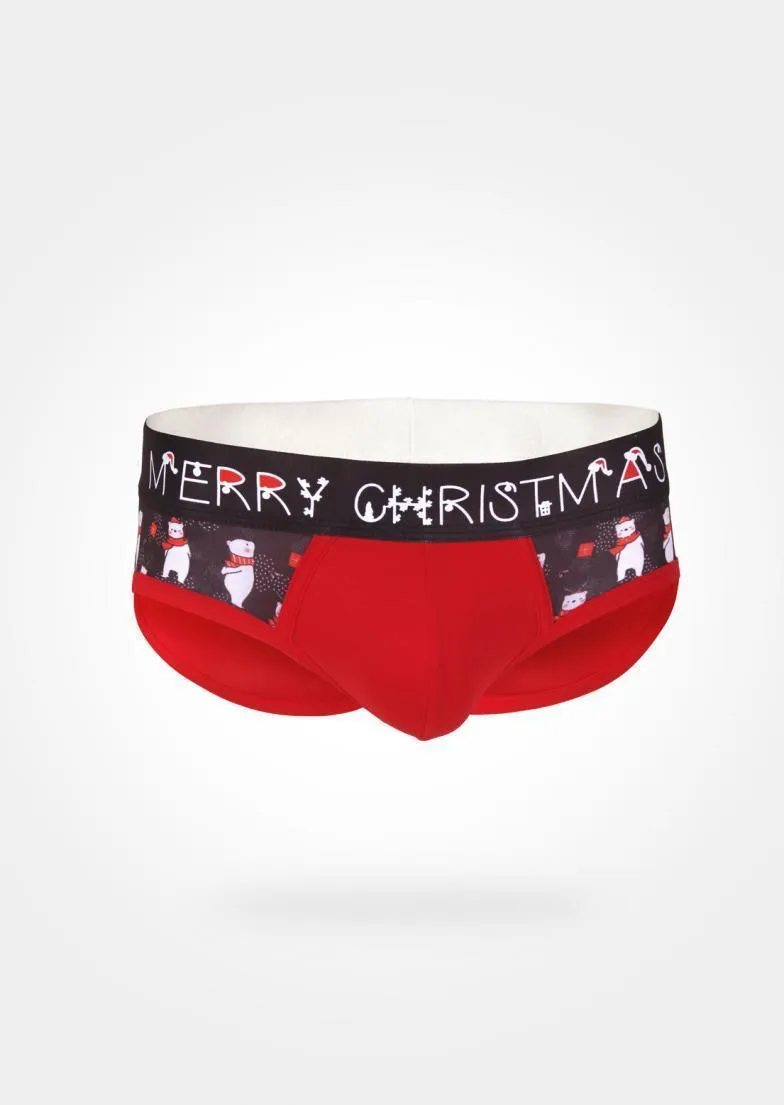 CHRISTMAS BRIEFS 19xms03s2