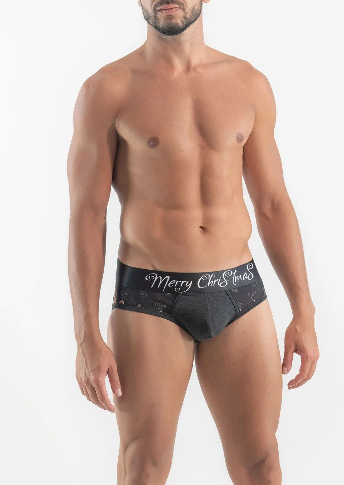 CHRISTMAS BRIEFS 19xms03s2