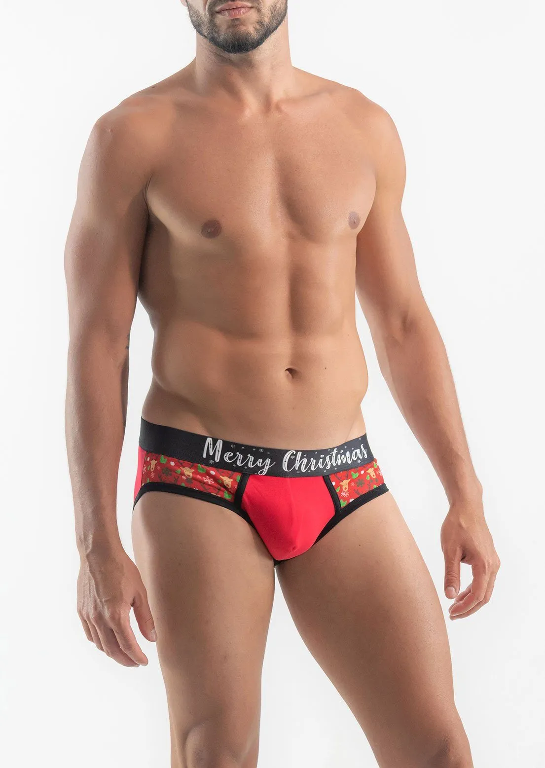 CHRISTMAS BRIEFS 19xms04s2