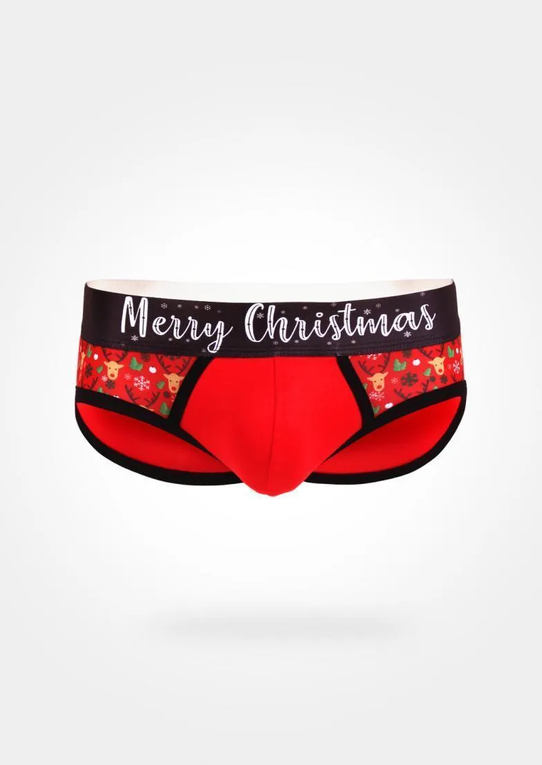 CHRISTMAS BRIEFS 19xms04s2