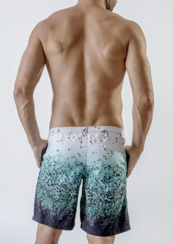 Men Board Shorts 1710p4